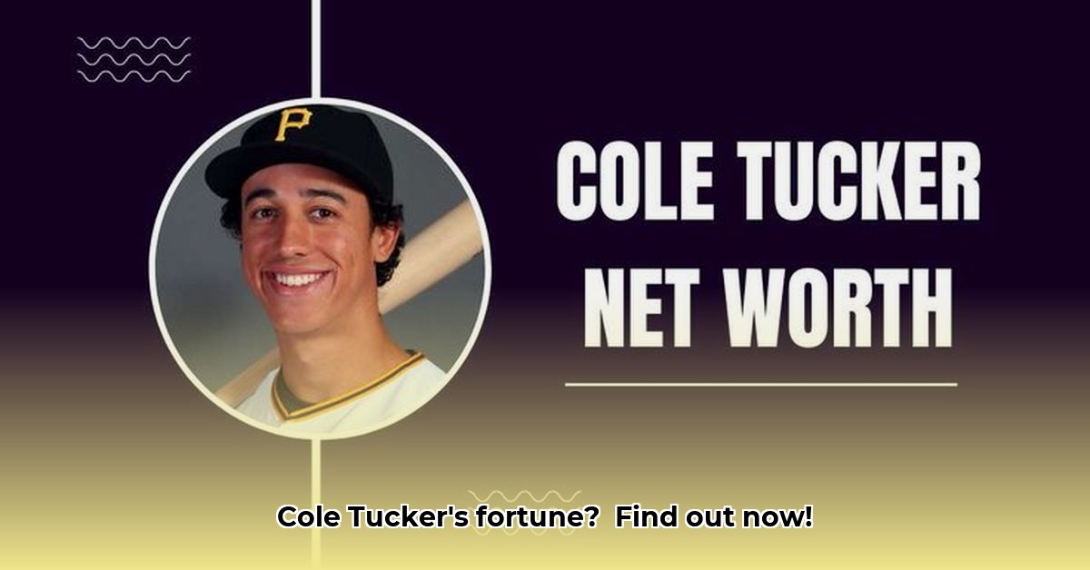 cole-tucker-net-worth